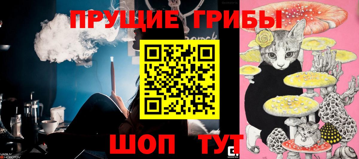 Псилоцибиновые грибы Psilocybine cubensis Строитель